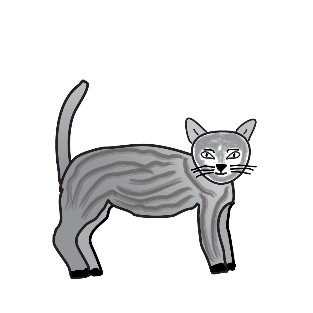 Katze 2
