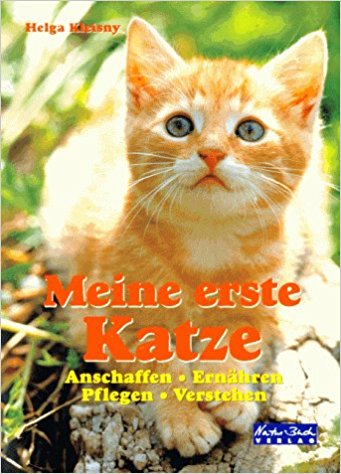 katze titel